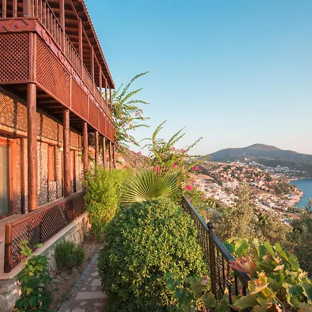 Luxury & Secluded Mediterranean W/ Infinity Pool Villa